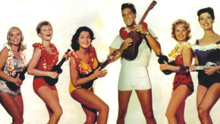 Group people guitars standing man - one man holding free wallpaper