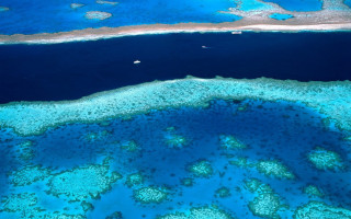 Ocean coral reefs boat distant - a boat in the distance free wallpaper