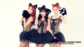Three girls costumes teddy bear - bian shoumin free wallpaper