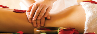 Woman back massage rose petals - photorealistic imagery free wallpaper for desktop