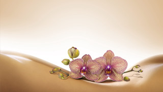 Woman breast flowers painting art - photorealistic imagery free wallpaper for desktop