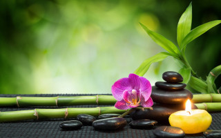Candle rocks flower bamboo sticks - tranquil free wallpaper