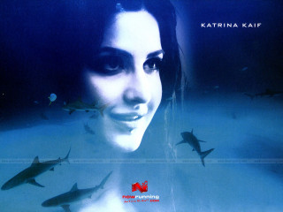 Woman sharks water caption surrounded - a caption free wallpaper