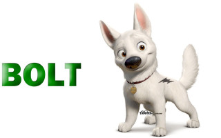 White dog red collar name - dom qwek free wallpaper
