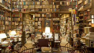 Books furniture lamp table chairs - maximalist free wallpaper