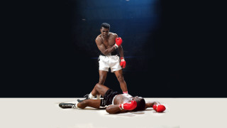 Man white shorts red boxing - real free wallpaper