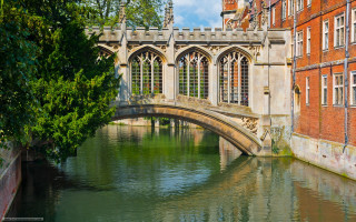 Bridge river building clock tower - a tree in the foreground free wallpaper