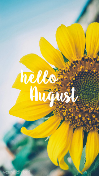 Yellow sunflower hello august blue - free holidays wallpaper