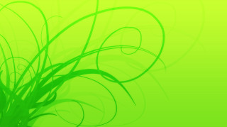 Green background plants nature vibrant - green plant free wallpaper