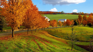 Farm road orange leaves blue - a farm free wallpaper