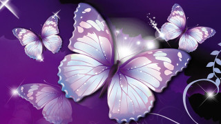 Purple background butterflies flying star 3 - a purple background free wallpaper
