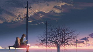 Person bench tree telephone pole - a bench in front free wallpaper