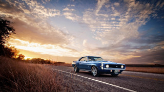 Blue car driving road cloudy 3 - a tree in the foreground free wallpaper