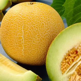 Melon slice leaves table blue - fructose free wallpaper