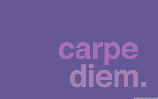 Purple background pink purple text - constance copeman free wallpaper
