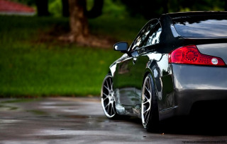 Car parked wet lot tree - shiny free wallpaper