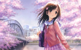 Girl pinkdress cherryblossoms anime bridge - the background and a bridge in the foreground free wallpaper