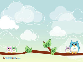 Three owls branch blue sky - white cloud free wallpaper