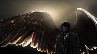 Man large wing dark background - visual art free wallpaper