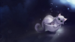 White cat bowl water bubbles - bubble of water free wallpaper