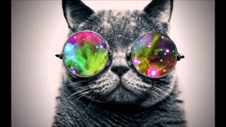 Cat glasses galaxy colorful pattern - psychedelic art free wallpaper