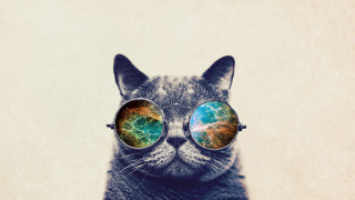 Cat glasses colorful sky image - glass free wallpaper