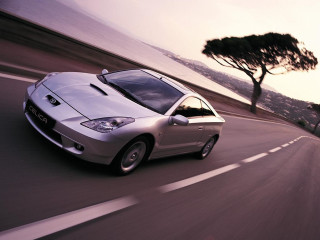 Silver car driving road tree - a silver car free wallpaper