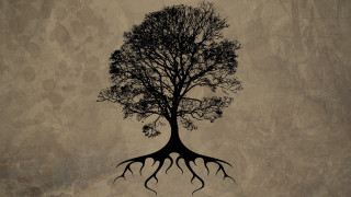 Tree roots heart wall grungy - the shape of a heart free wallpaper
