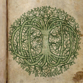 Book tree of life leaves - the cover free wallpaper