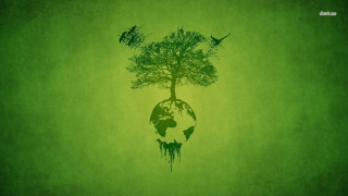 Green tree globe birds environmental - bird free wallpaper for desktop