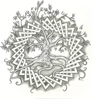 Tree branches lines nature detail - branch free wallpaper