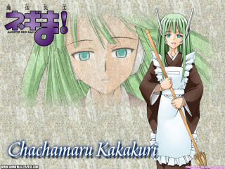 Anime green hair broom caption - a anime character free wallpaper