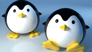Penguins table blue background black - two penguin free wallpaper