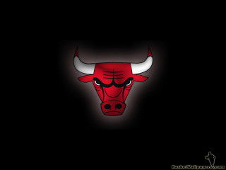 Bulls logo black background red - angry free wallpaper