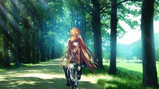 Woman riding bike forest road - a woman riding free wallpaper