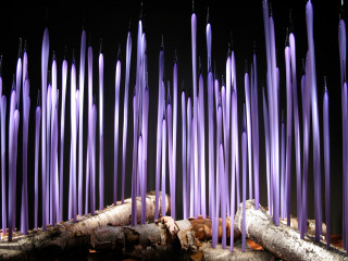 Purple candles lit dark room - front of them free wallpaper