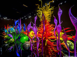 Colorful glass sculptures black wall - a black wall free wallpaper