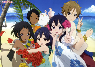 Beach group people ocean palm - top of a beach next free wallpaper