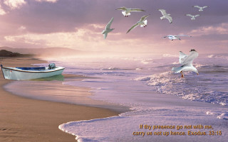 Boat beach seagulls sunset cloudy - free ship wallpaper