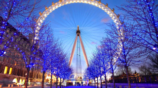 Ferris wheel night sky trees - the night sky free wallpaper