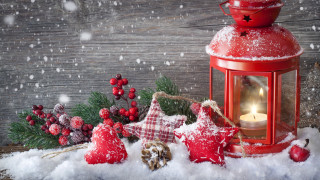 Red lantern decorations snow pine - winter free wallpaper for desktop