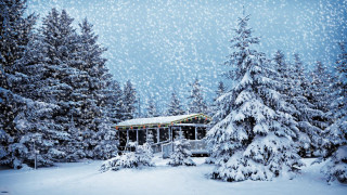 Cabin snowy forest trees snow - evgeny lushpin free wallpaper