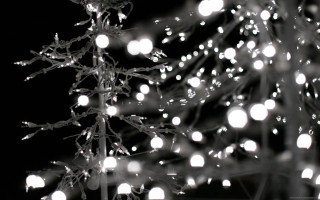 Christmas tree white lights black - branch free wallpaper