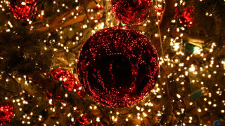 Christmas tree red ball lights 2 - a photo free wallpaper