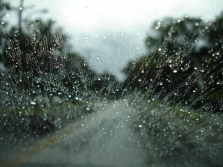 Rain covered windshield trees street - the foreground free wallpaper