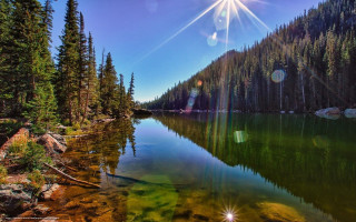 Lake trees forest sun mountain - blue sky free wallpaper