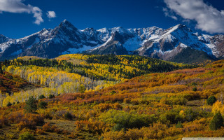 Mountain range trees foreground snow - ansel adams free wallpaper