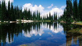 Lake trees clouds sky water - a few cloud free wallpaper for desktop