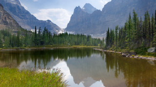 Mountain lake pine trees forest - a mountain lake free wallpaper