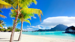 Beach boat palm mountain sky - a mountain in the background free wallpaper